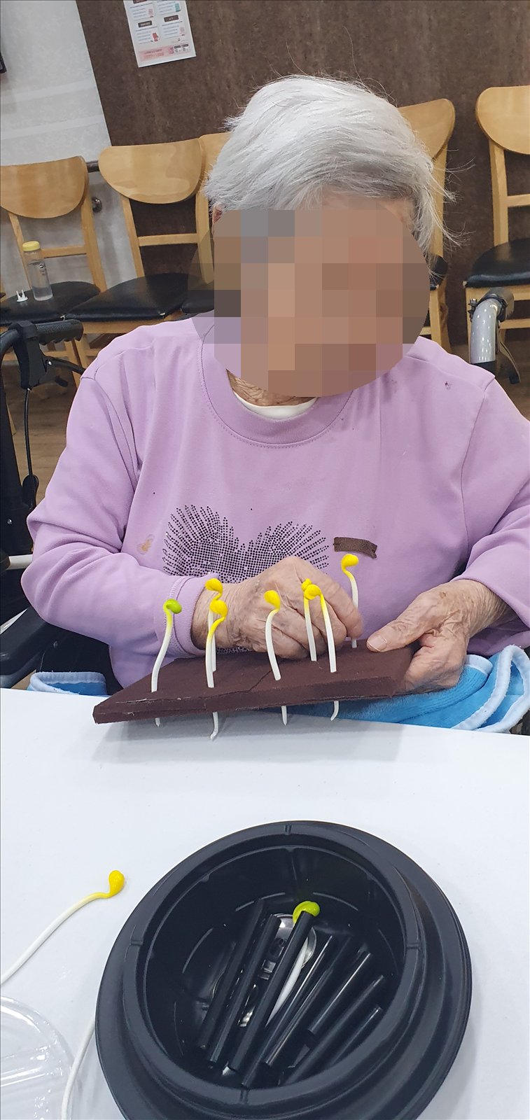 개인판에 콩나물 모형을 꽂으시는 어르신