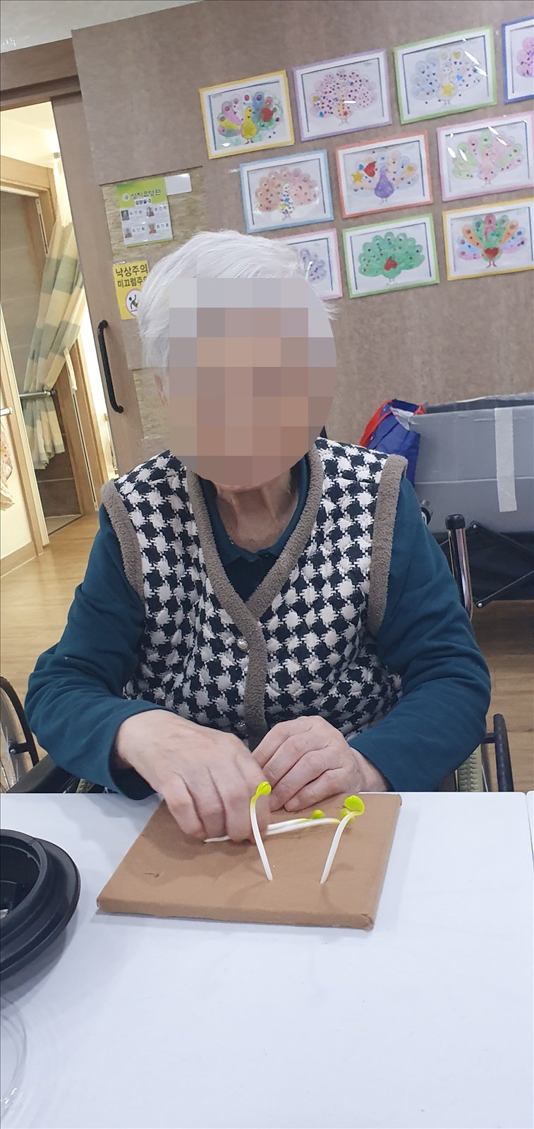 두 손으로 콩나물 모형을 꽂으시는 어르신
