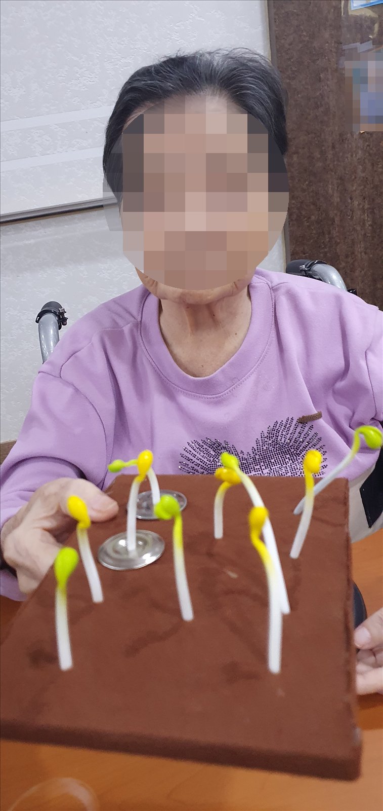 콩나물 모형을 다 꽂은 판을 들어 보이시는 어르신